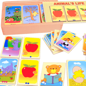 ANIMAL'S LIFE BOX (1 BOX 24 PCS) - ITS Educational Supplies Sdn Bhd