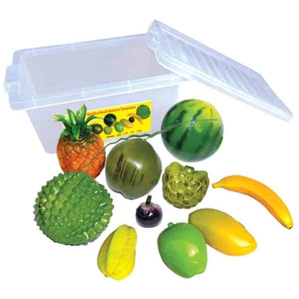 REPLIKA BUAH-BUAHAN TEMPATAN (10 PCS) - ITS Educational Supplies