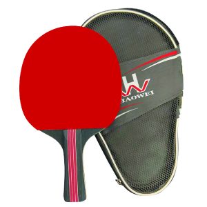 its ping pong set
