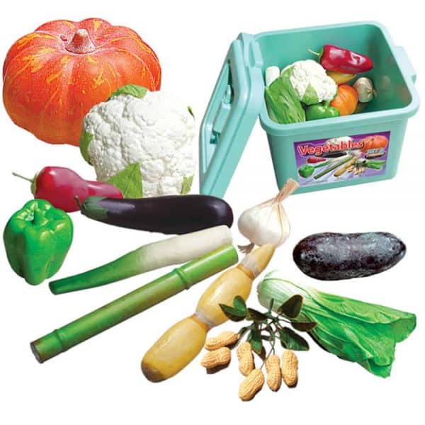 VEGETABLES (SET B)(SET OF 12) - ITS Educational Supplies Sdn Bhd