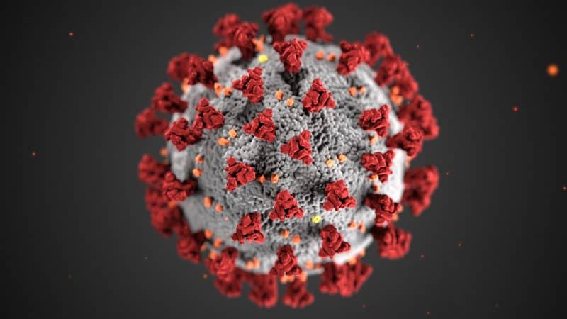 Guide to Prevent COVID-19 (Coronavirus) in Schools and Kindergartens