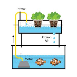 teknologi pertanian akuaponik