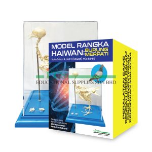 model rangka haiwan (burung merpati)