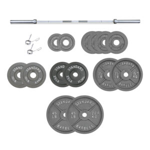 barbell and weights (cast iron) (1 set)