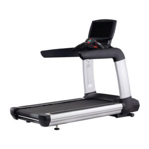 treadmill (1 unit)