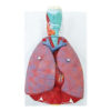 anatomical model: lungs with heart