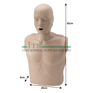model manikin latihan cpr
